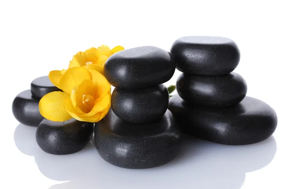Wellness-Steine und gelbe Blume isoliert auf weiß — Stockfoto