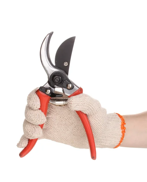 Pruner in hand isolated on white — Stock Photo, Image