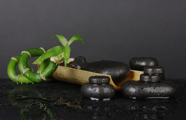 Sammansättning av bambu och spa stenar isolerade på svart — Stockfoto
