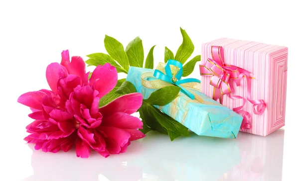 Beautirul pembe hediyeler ve üzerinde beyaz izole Şakayık çiçeği — Stok fotoğraf