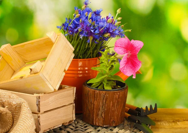 Gießkanne, Werkzeug und Blumen auf Holztisch auf grünem Hintergrund — Stockfoto