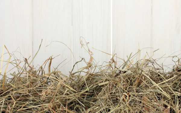 Золотой сено против белого сарая крупным планом — стоковое фото
