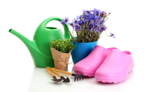 Regando lata, galochas, ferramentas e plantas em vaso isolado em branco — Fotografia de Stock