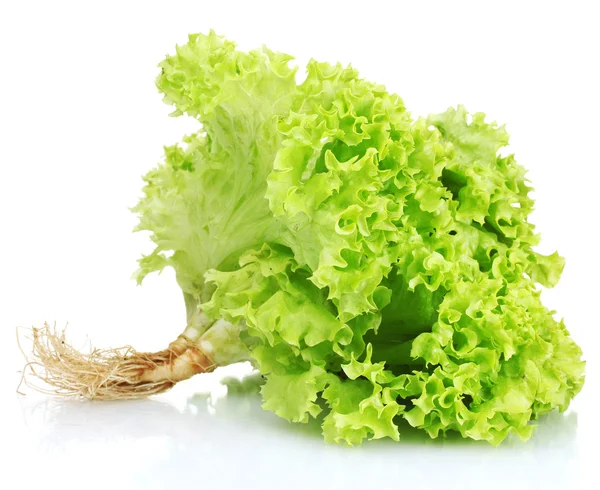 Fresh lettuce isolated on white — Stock Photo, Image
