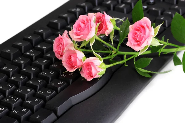 Rosa rosas en el teclado de primer plano de comunicación por Internet — Foto de Stock