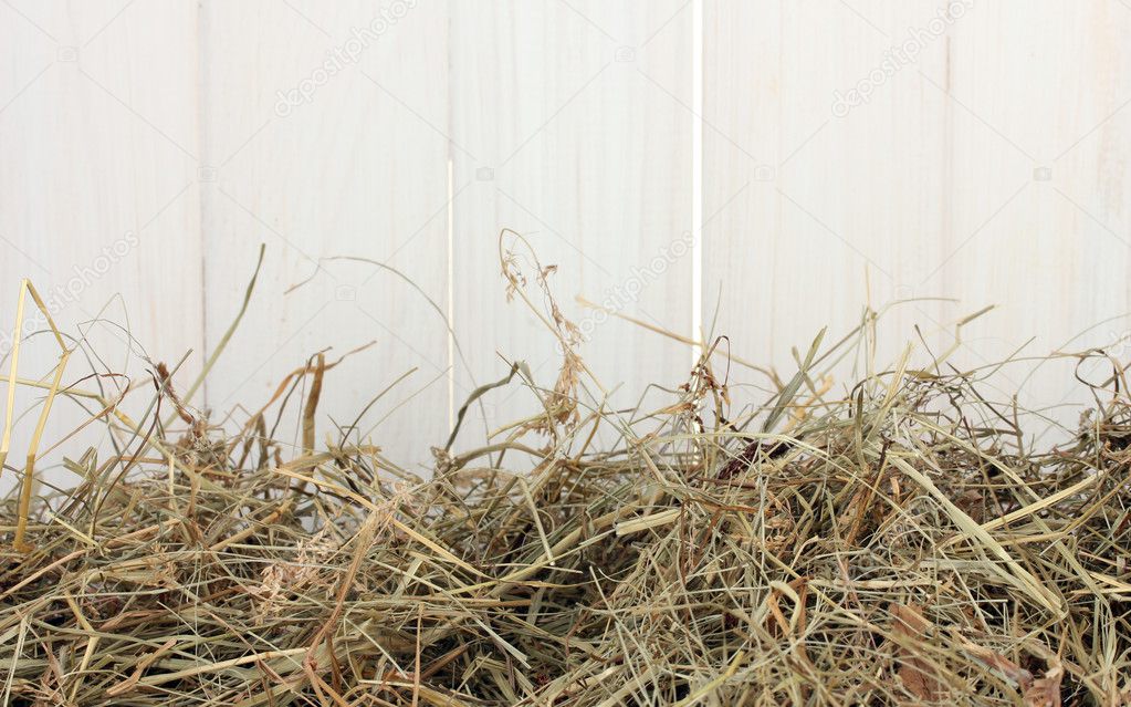 The golden hay against the white barn close-up