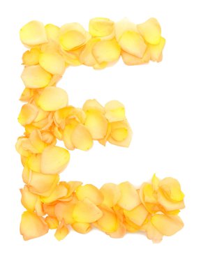 Orange rose petals forming letter E, isolated on white clipart