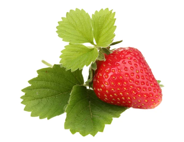 stock image Sweet ripe strawberry with leaves isolated on white