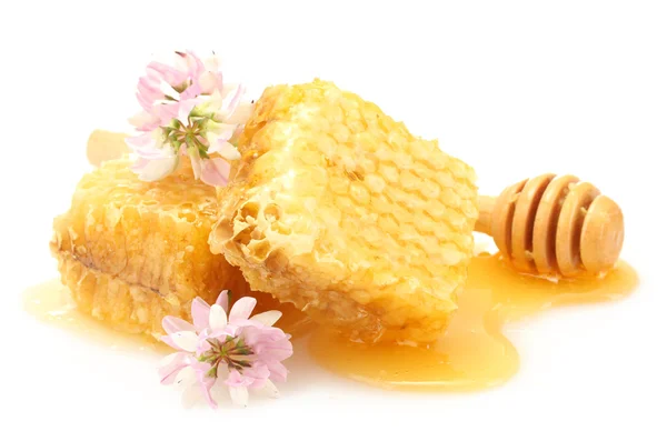 Favos de mel dourados, flores silvestres e drizzler de madeira com mel isolado em branco — Fotografia de Stock