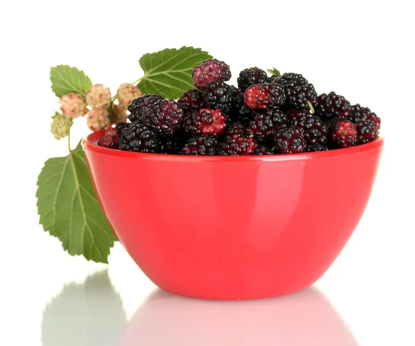 Red bowl with ripe mulberries isolated on white close-up — Stock Photo, Image