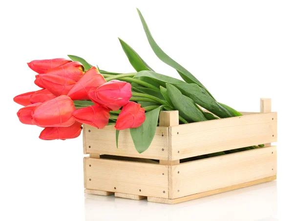Beautiful tulips in crate isolated on white — Stock Photo, Image