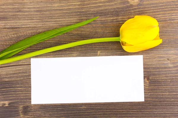 Красивый тюльпан и открытка на деревянном фоне — стоковое фото