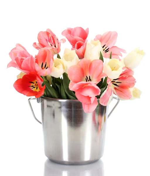 Beautiful pink tulips in bucket isolated on white — Stock Photo, Image