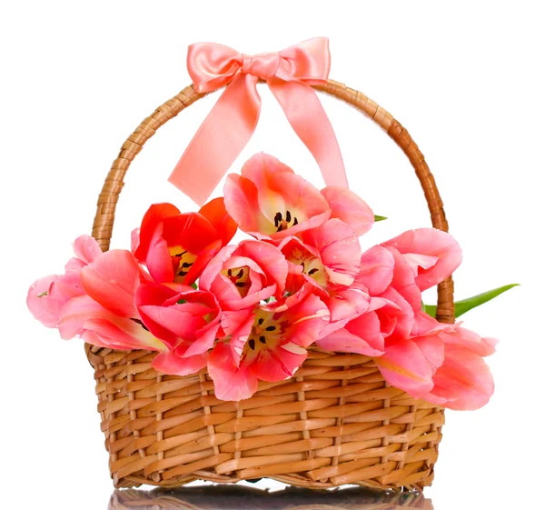 孤立在白色的购物篮中的美丽粉红郁金香 — 图库照片