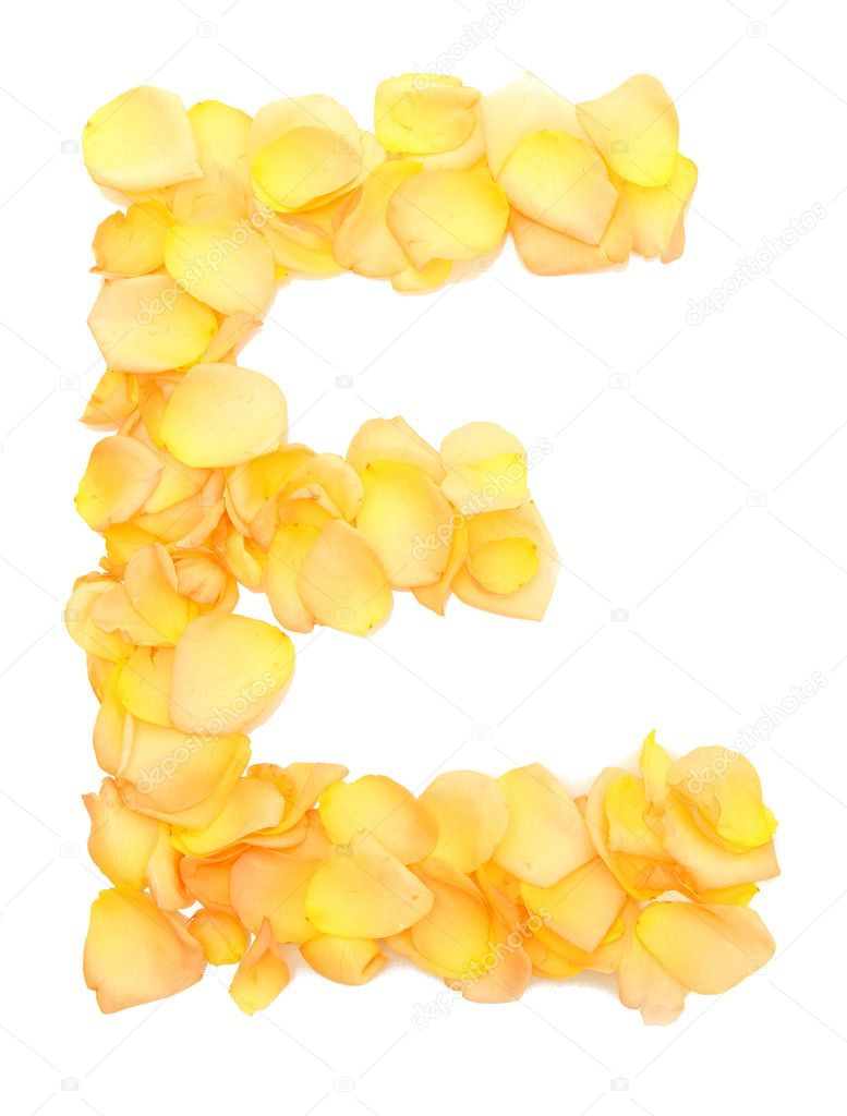 Orange rose petals forming letter E, isolated on white