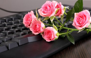 Pink roses on keyboard close-up internet communication