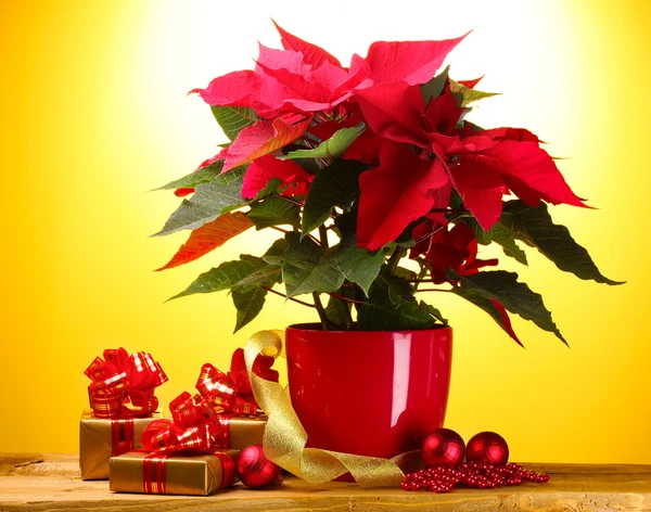 Virágcserép, ajándékok és karácsonyi golyókat a fából készült asztal a sárga háttér gyönyörű Mikulásvirág — Stock Fotó