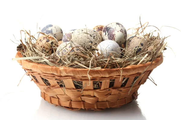 Kwartel eieren in nest geïsoleerd op wit — Stockfoto