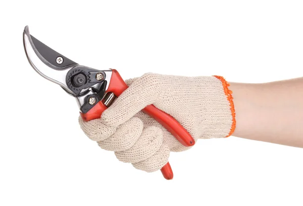Pruner in hand isolated on white — Stock Photo, Image