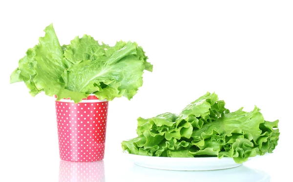 Salat in einer roten Tasse mit weißen Tupfen isoliert auf weiß — Stockfoto