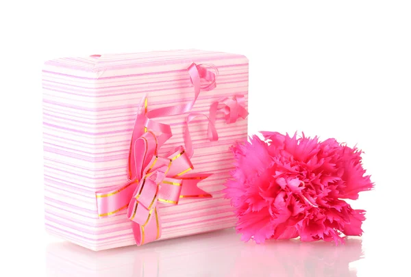 Beautirul rosa Geschenk und Pfingstrose Blume isoliert auf weiß — Stockfoto