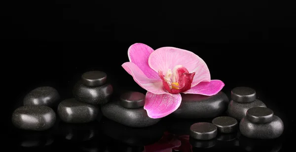 Piedras de spa con flor de orquídea aislada en negro —  Fotos de Stock