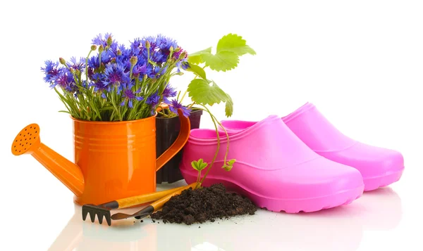 Watering can, galoshes, tools and plants in flowerpot isolated on white — Stock Photo, Image