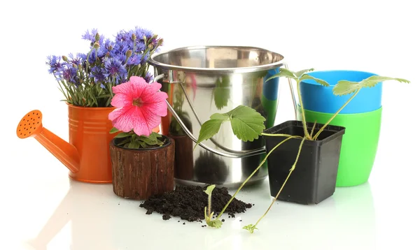 Gieter, emmer, tools en planten in bloempot geïsoleerd op wit — Stockfoto
