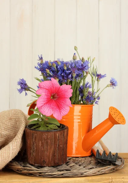 Regadera, herramientas y flores sobre fondo de madera —  Fotos de Stock