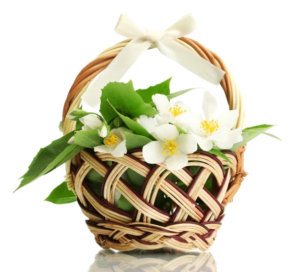 Lindas flores de jasmim com folhas em cesta, isoladas em branco — Fotografia de Stock