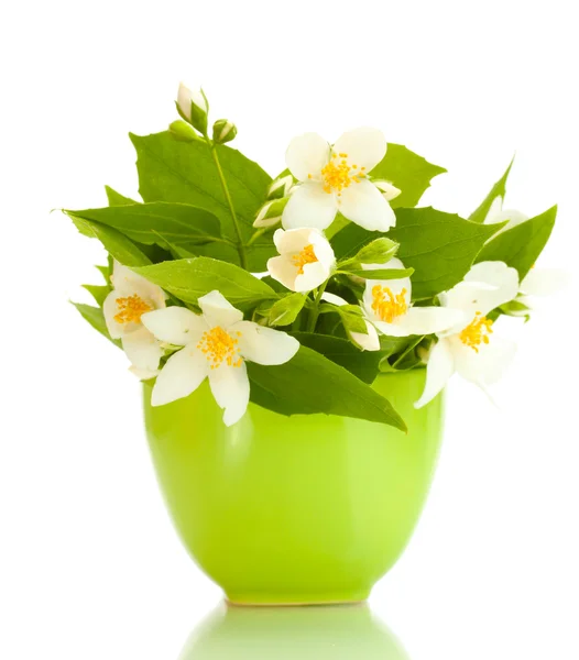 Gyönyörű jázmin virágok zöld vázában elszigetelt fehér — Stock Fotó