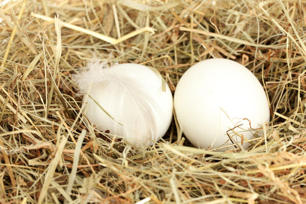 Белые яйца в сене крупным планом
