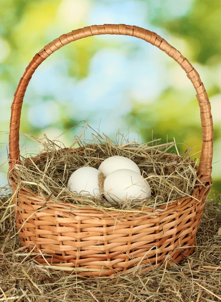 Vita ägg i en flätad korg på hö på grön bakgrund — Stockfoto