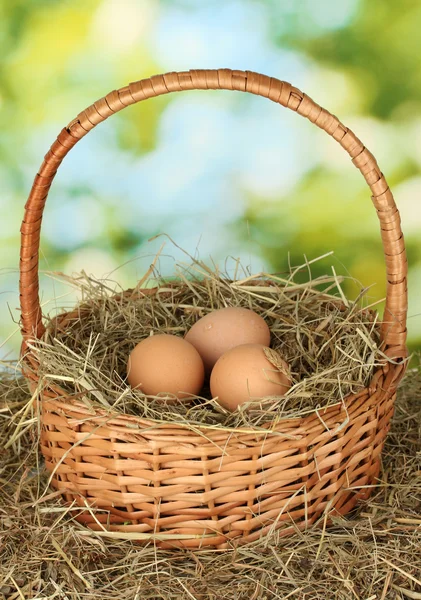 Коричневые яйца в плетеной корзине на сене на зеленом фоне — стоковое фото