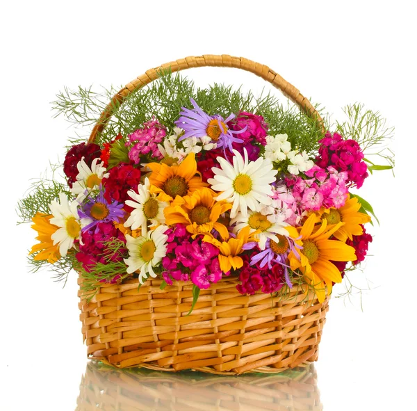 Hermoso ramo de flores silvestres brillantes en la cesta, aislado en blanco — Foto de Stock