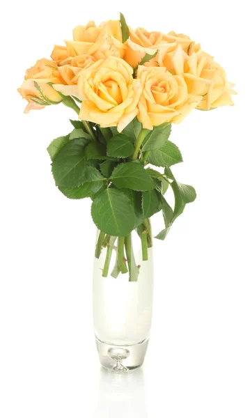 束美丽的玫瑰在透明的花瓶上白色隔离 — 图库照片
