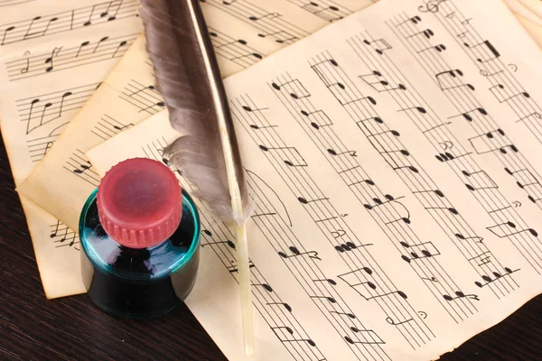Note musicali e piume sul tavolo di legno — Foto Stock