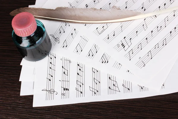 Note musicali e piume sul tavolo di legno — Foto Stock