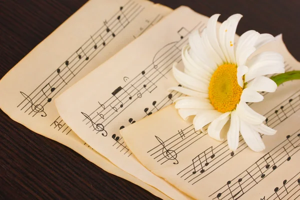Notas musicales y flor sobre mesa de madera — Foto de Stock