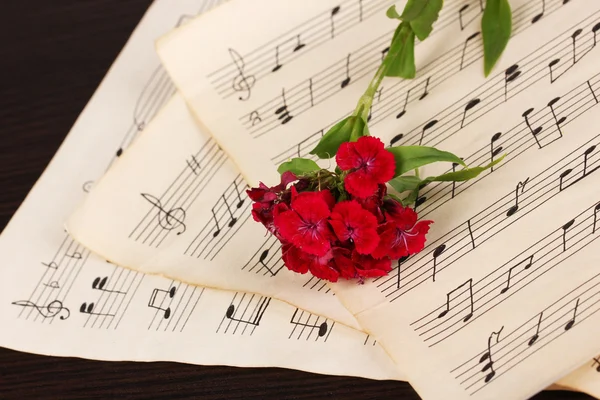 Notes musicales et fleurs sur table en bois — Photo