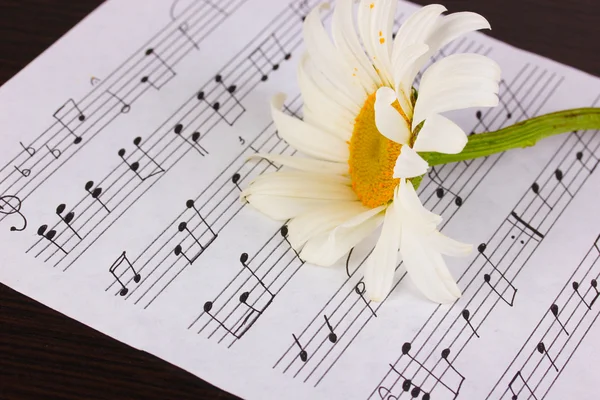Музыкальные ноты и цветы на деревянном столе — стоковое фото