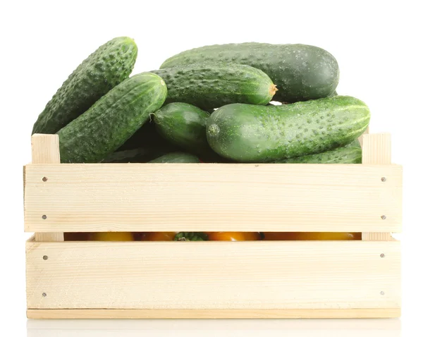 Fresh cucumbers in wooden box isolated on white — Stock Photo, Image