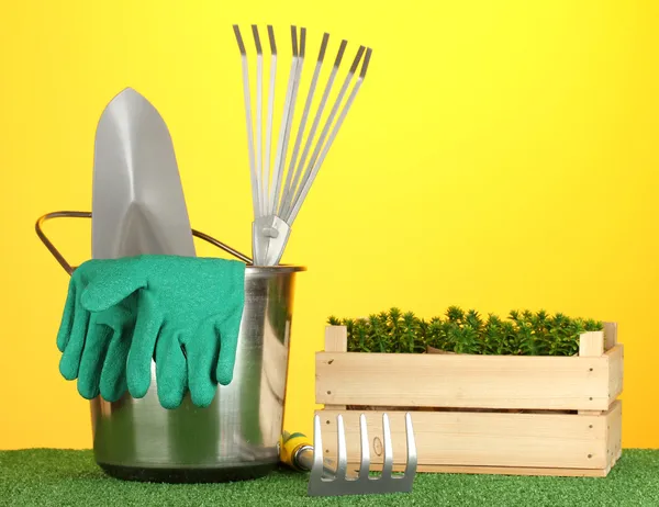 Garden tools on lawn on bright colorful background close-up — Stock Photo, Image