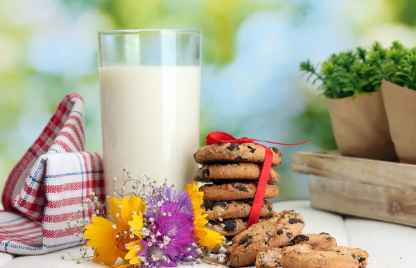 Glas mjölk, choklad chip cookies med rött band och blommor på träbord på blå bakgrund — Stockfoto
