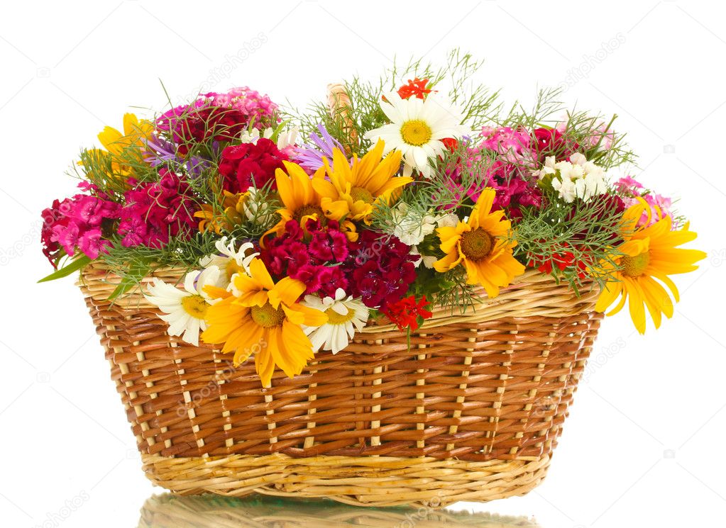 Beautiful bouquet of bright wildflowers in basket, isolated on white ...