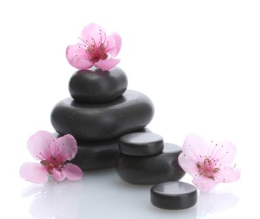 Spa taşlar ve üzerinde beyaz izole pembe sakura çiçekler