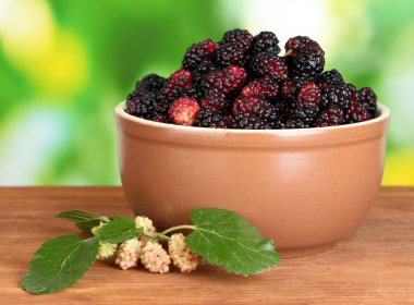 Ceramical bowl with ripe mulberries on wooden table on bright green background close-up clipart