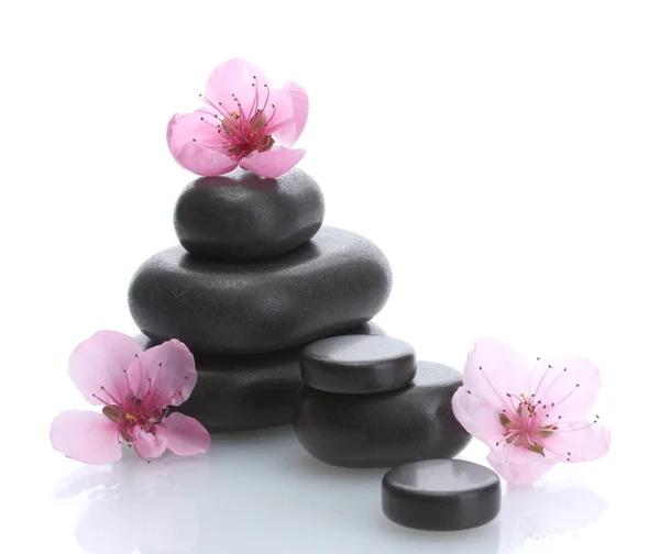 Wellness kameny a květy růžové sakura izolované na bílém — Stock fotografie