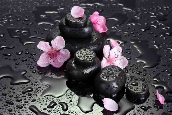 Spa stones with drops and pink sakura flowers on grey background — Stock Photo, Image