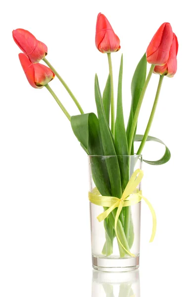 Красивые тюльпаны в вазе изолированы на белом — стоковое фото